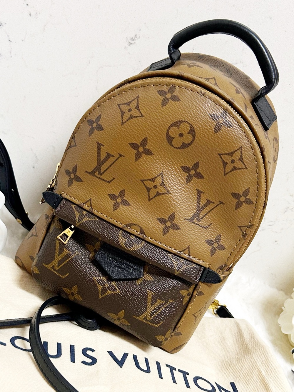 Authentic Louis Vuitton Reverse Monogram Palm Springs Mini Backpack / Bag - Picture 15 of 16
